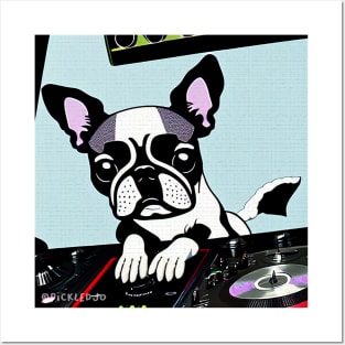 Boston Terrier DJ Posters and Art
